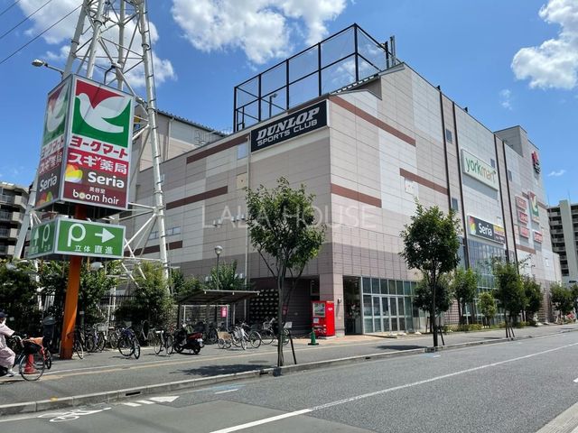̑ ݔ