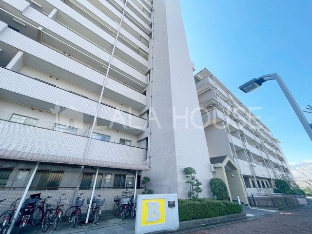 nOώʐ^ -