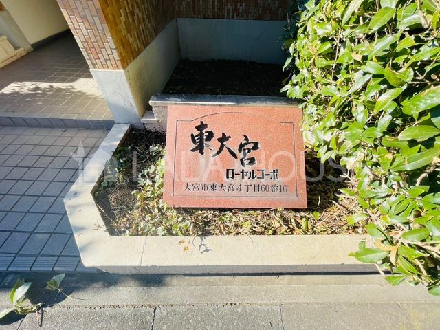 ̑ -