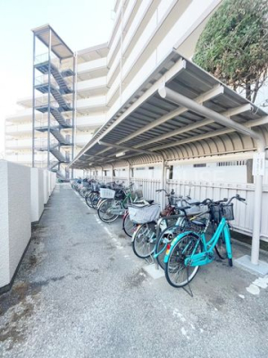 ̑ ֏͉tȂ̂ŁAJ̉ehƂł܂B