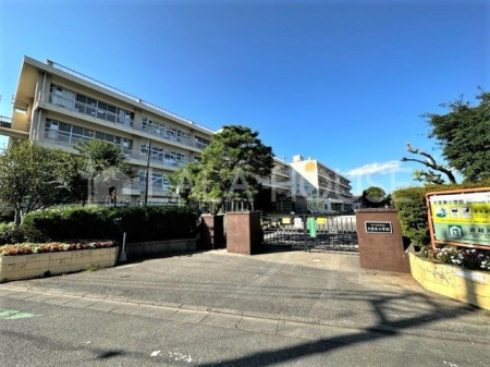 ӊ ܎s{wZ k7B 470m