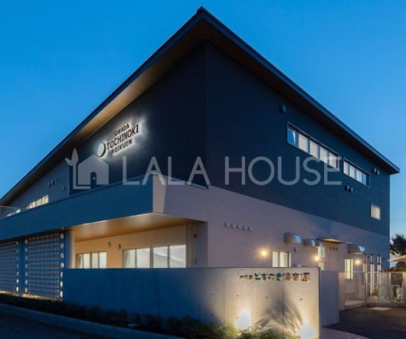 ���ӊ� ��a�c�Ƃ��̂��ۈ牀 �k��12���B 910m