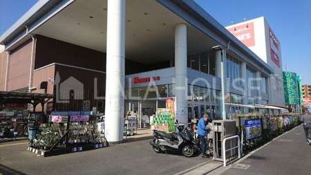 ӊ I[P[^X k5B 430m