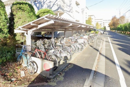 ̑ ֏͉tȂ̂ŁAJ̉ehƂł܂B