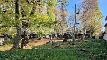 ӊ ~͒Βn k11B 850m