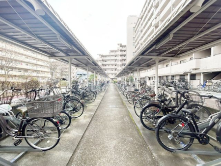 ̑ ֏͉tȂ̂ŁAJ̉ehƂł܂B