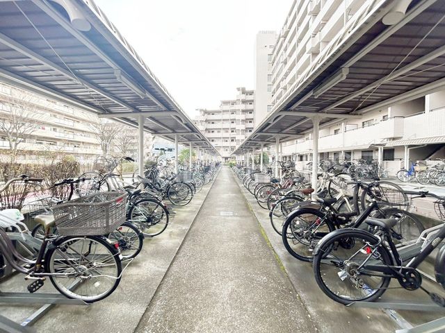 ̑ ֏͉tȂ̂ŁAJ̉ehƂł܂B