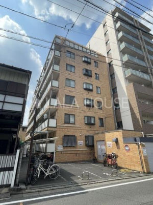 nOώʐ^ ܐVsSwk11Itmx[V