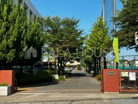 ӊ ܎siwZ k16B 1260m