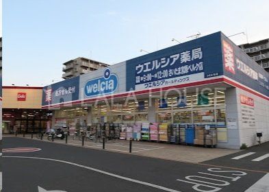 ӊ EGVA܋{xNX k3B 700m