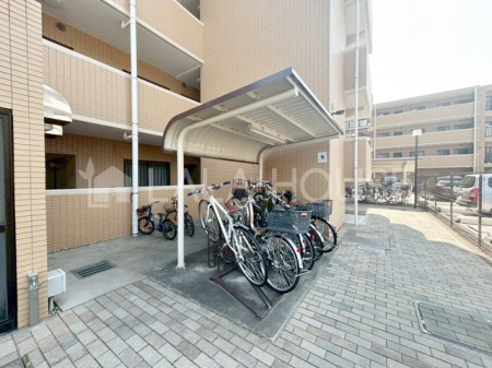 ̑ ֏͉tȂ̂ŁAJ̉ehƂł܂B