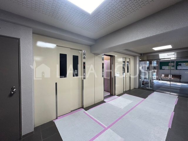 GgX Gx[^[3̂Œ̍G܂