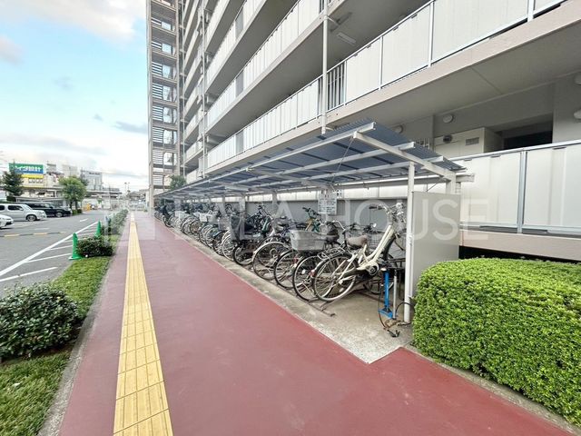 ̑ ֏͉tȂ̂ŁAJ̉ehƂł܂B