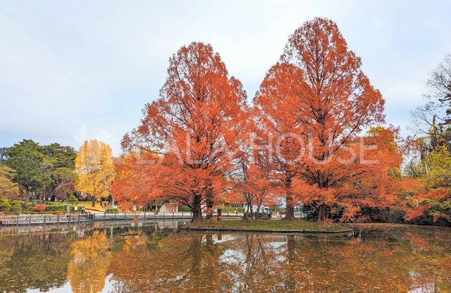 ���ӊ� ��{���� �k��12���B 910m