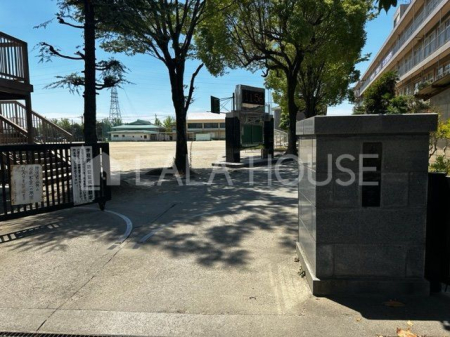 ���ӊ� ����s����Ώ��w�Z �k��19���B 1500m