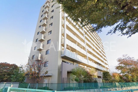 ���n�O�ώʐ^ ���i�w�k��7���I�y�b�g�����