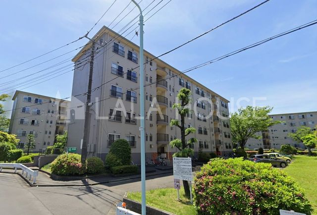 ���n�O�ώʐ^ �����w�k��13���I