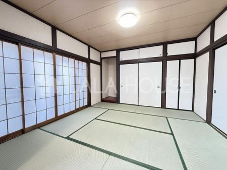 ���̑����� -