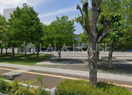 ���ӊ� �������܎s���k�}���� �k��10���B 780m