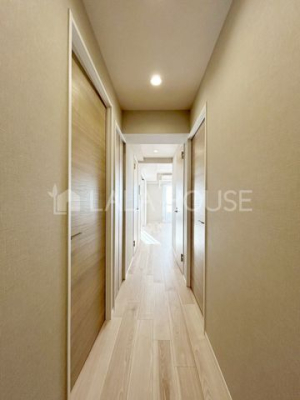 ���̑����� -