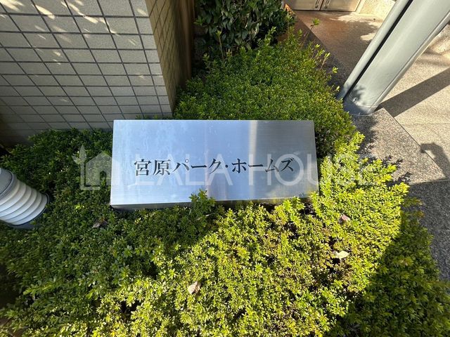 ���̑� ���L����