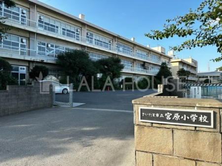 ���ӊ� �������܎s���{�����w�Z �k��17���B 1420m