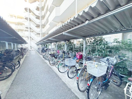 ���̑� ���֏�͉����t���Ȃ̂ŁA�J���̉e����h�����Ƃ��ł��܂��B