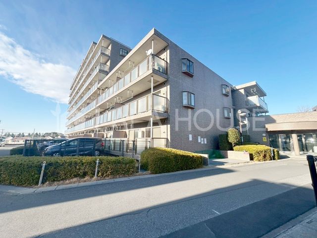 ���n�O�ώʐ^ ����{�w�k��22���I�����w�Z�k��10��������