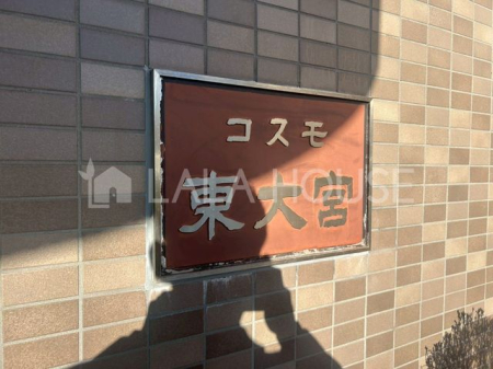 ���̑� ���L����