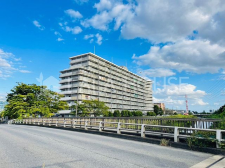 ���n�O�ώʐ^ ���ː�321�@�~���J�H�R�~���j�e�B�S���ϑ��Ǘ��ɂ��A�Ǘ��̐��ǍD�I