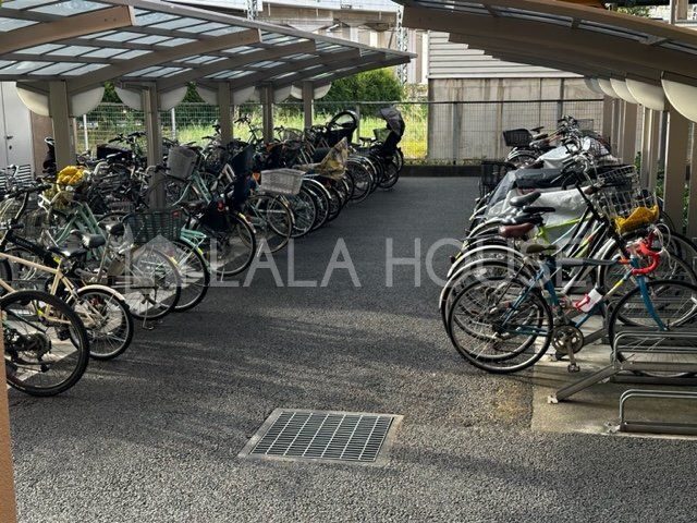 ���̑� ���֏�͉����t���Ȃ̂ŁA�J���̉e����h�����Ƃ��ł��܂��B