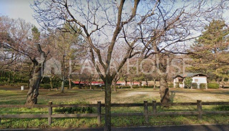 ���ӊ� ��Ώ隬���� �k��13���B 1010m