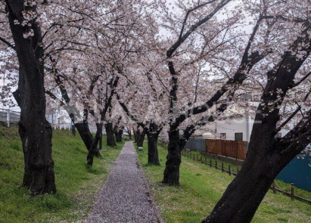 ���ӊ� �������ʂ���� �k��7���B 510m