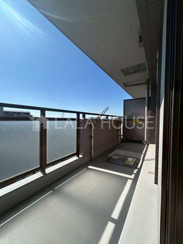 �o���R�j�[ -