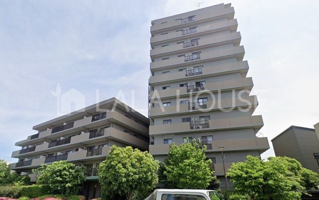 ���n�O�ώʐ^ �S�������ىw�k��8���I��{�w�k��21���I�y�b�g�����