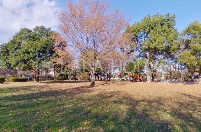 ���ӊ� ����݂��ׂ̗� �k��7���B 520m