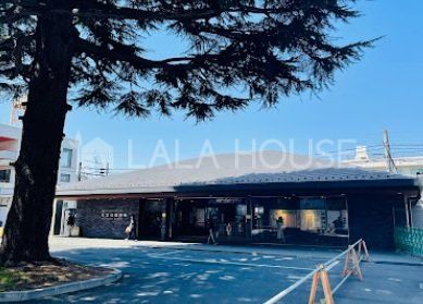 ���ӊ� ��{�����w(���� ��c��) �k��11���B 930m