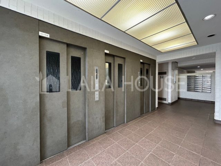 �G���g�����X -