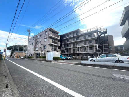 ���n�O�ώʐ^ ���{���w�k��11���I