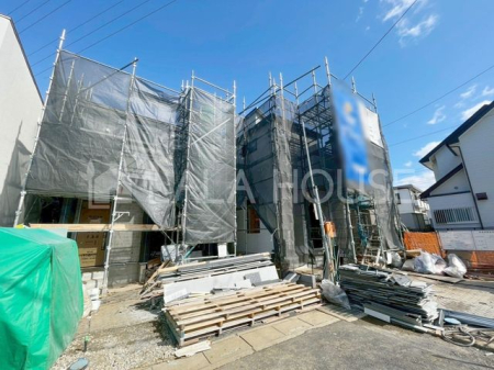 ���n�O�ώʐ^ ����w�k��16���I