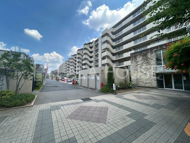 ���n�O�ώʐ^ �S�������ىw�k��10���I���i�w�k��14����