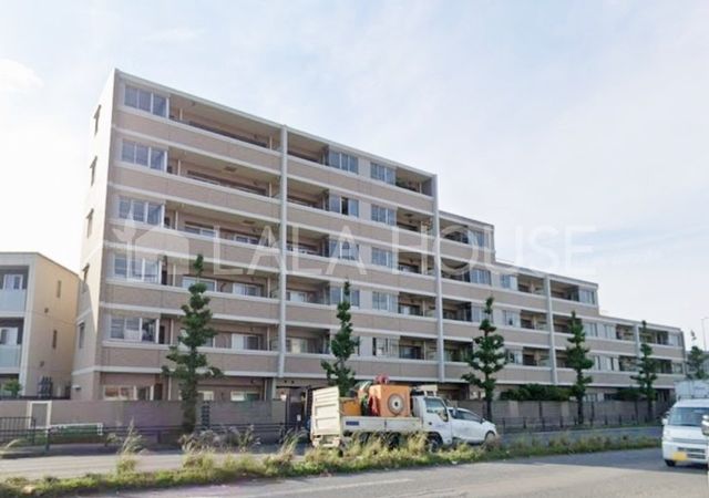 ���n�O�ώʐ^ �{���w�k��10���I�y�b�g�����ׂ����Ȃ��󏭂ȓƗ������I