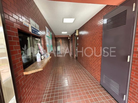 �G���g�����X -