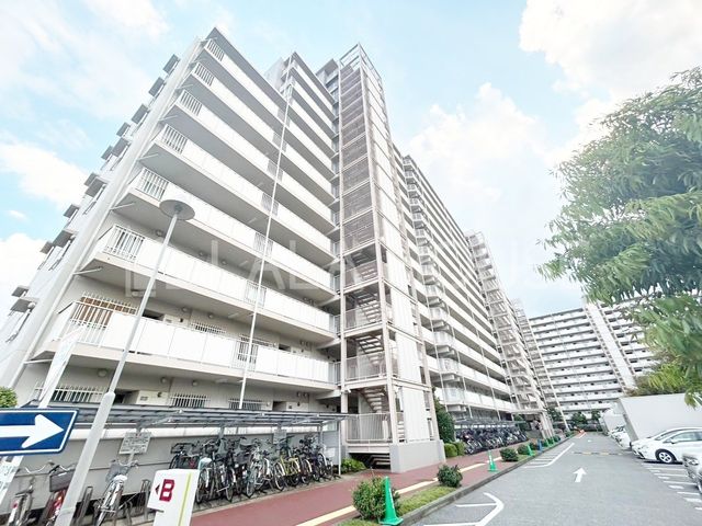 ���n�O�ώʐ^ ����w�k��4���I�y�b�g�����