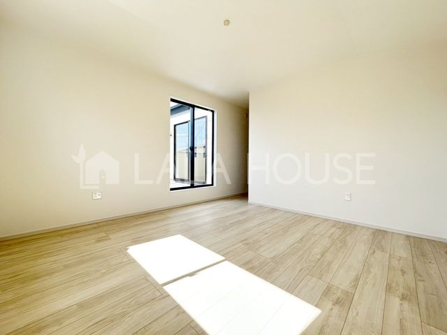 ���̑����� -