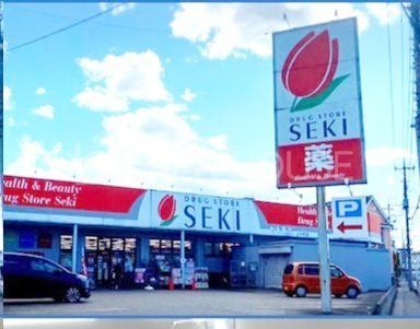 ���ӊ� �h���b�O�X�g�A�Z�L�㏬���X �k��3���B 250m