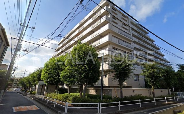 ���n�O�ώʐ^ ��{�w�k��17���I