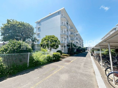 ���n�O�ώʐ^ ����w�k��17���I�y�b�g�������K�͏C�U�H�����{��(�ߘa5�N1�����j�y�ʐ^��4�����z