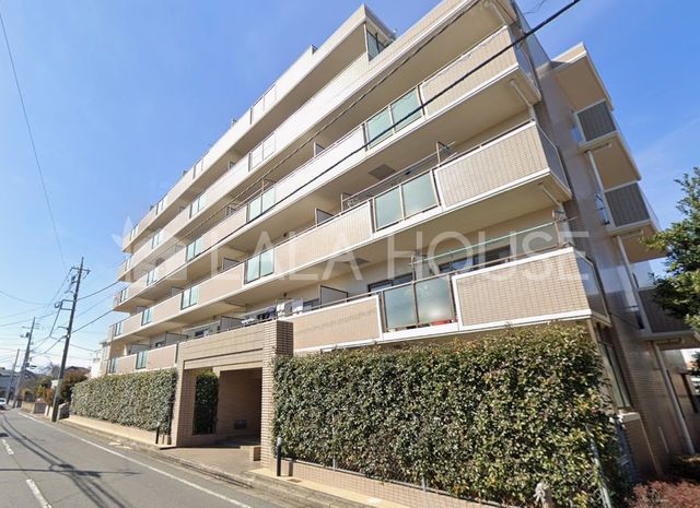 ���n�O�ώʐ^ ����w�k��17���E���]��6��������C�I���k��8����