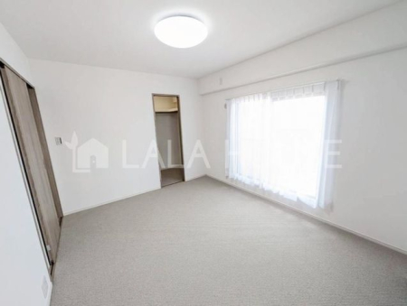 ���̑����� -